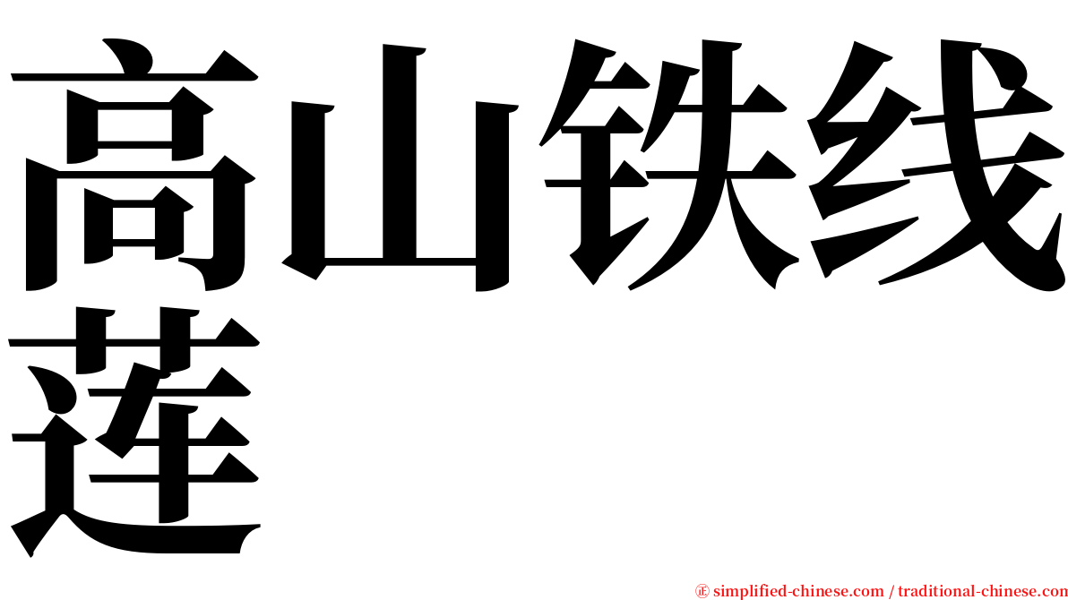 高山铁线莲 serif font