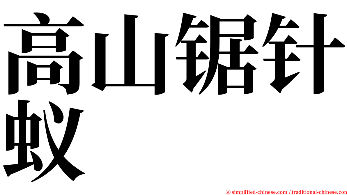 高山锯针蚁 serif font