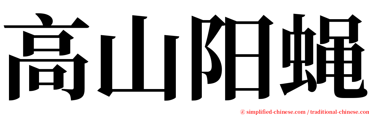 高山阳蝇 serif font