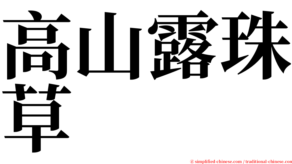 高山露珠草 serif font