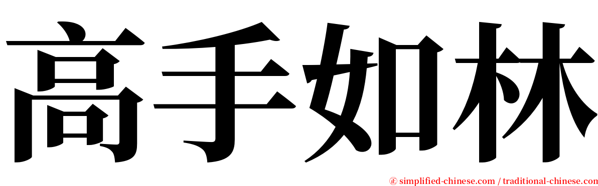 高手如林 serif font