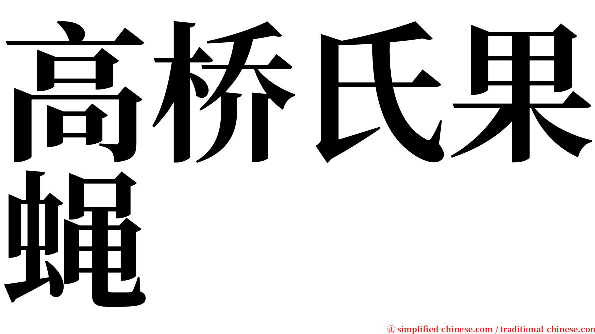 高桥氏果蝇 serif font