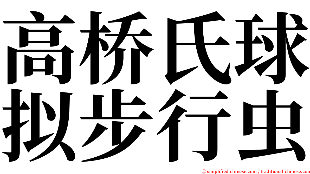 高桥氏球拟步行虫 serif font