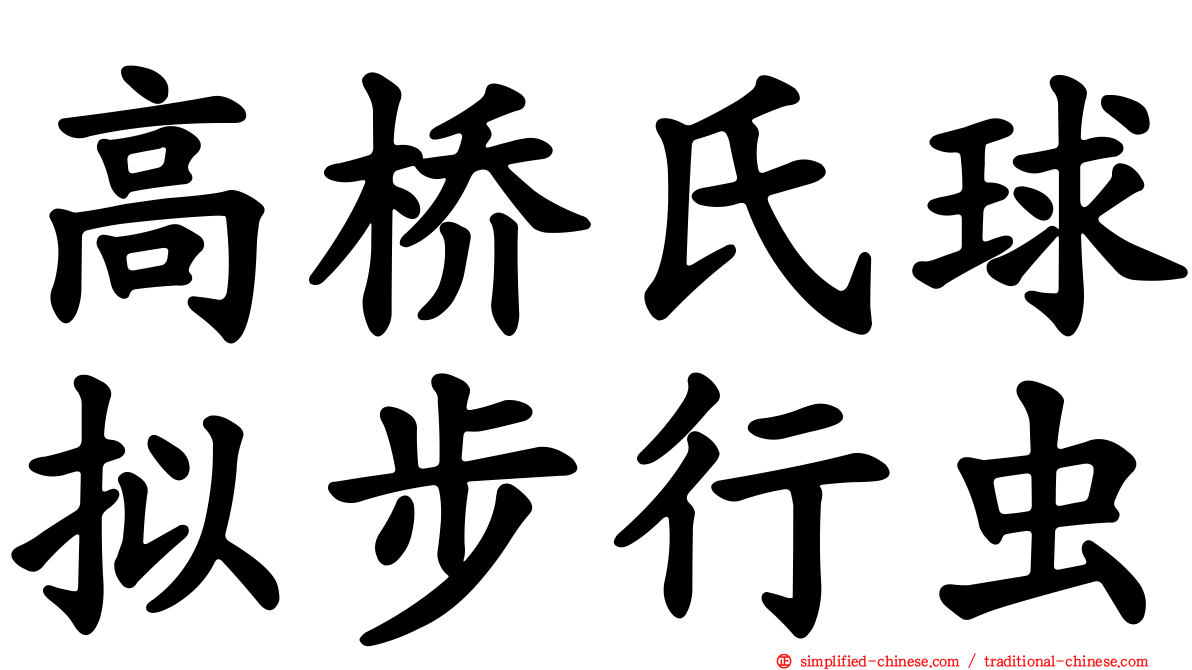 高桥氏球拟步行虫