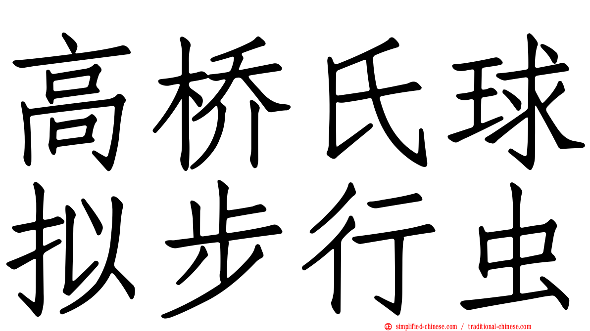 高桥氏球拟步行虫