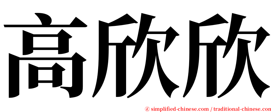 高欣欣 serif font