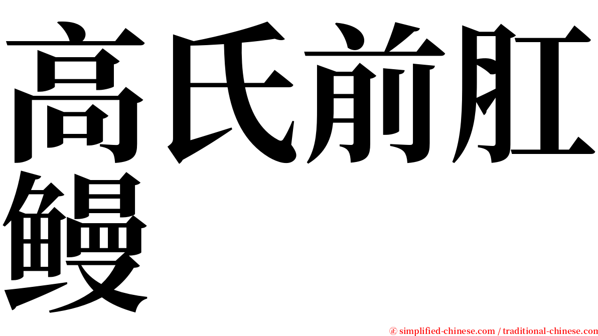 高氏前肛鳗 serif font