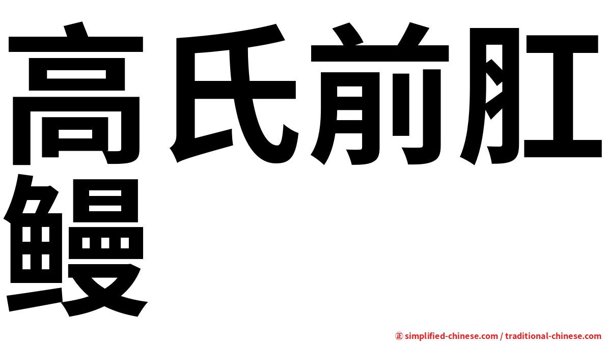 高氏前肛鳗