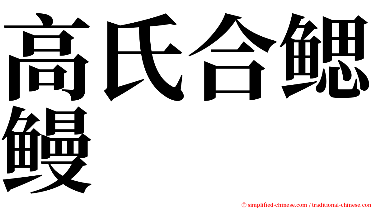 高氏合鳃鳗 serif font