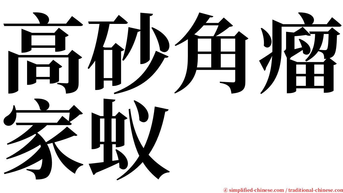 高砂角瘤家蚁 serif font