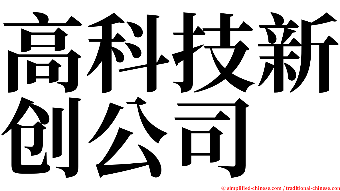 高科技新创公司 serif font