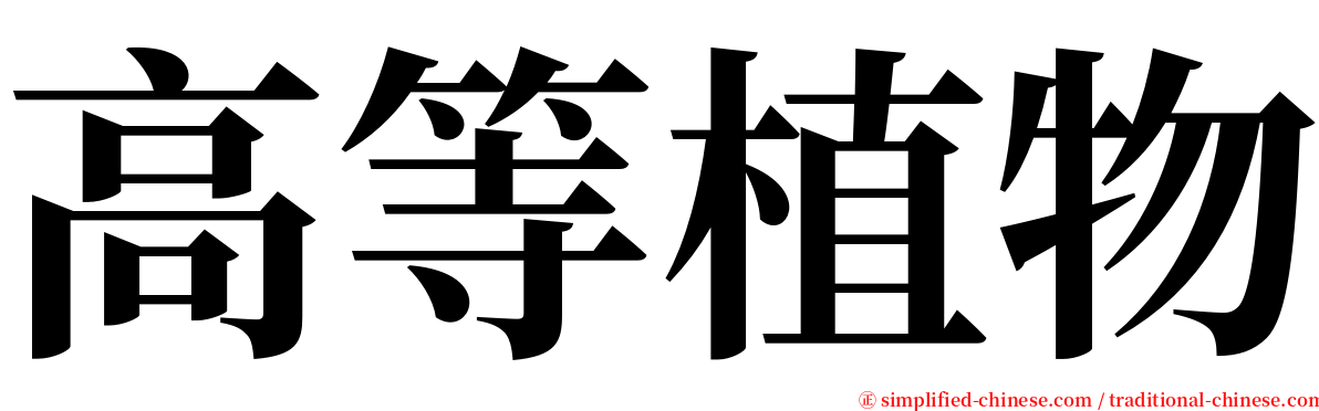 高等植物 serif font
