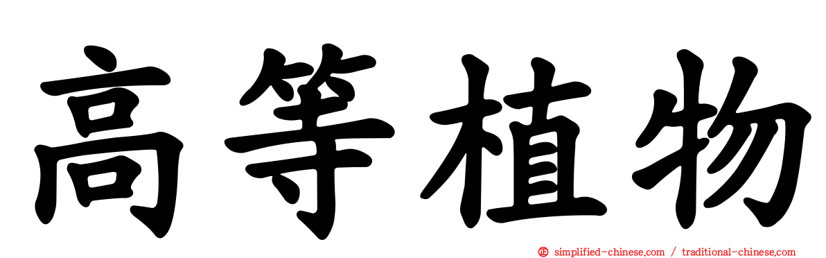 高等植物