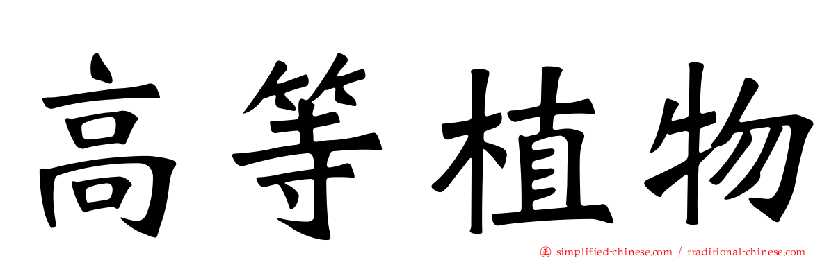 高等植物
