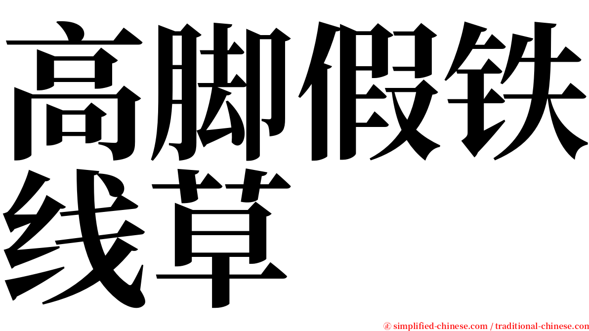 高脚假铁线草 serif font