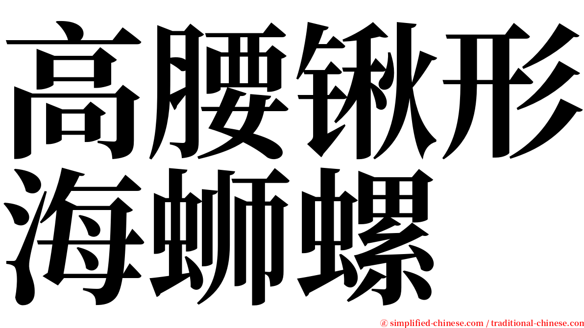 高腰锹形海蛳螺 serif font