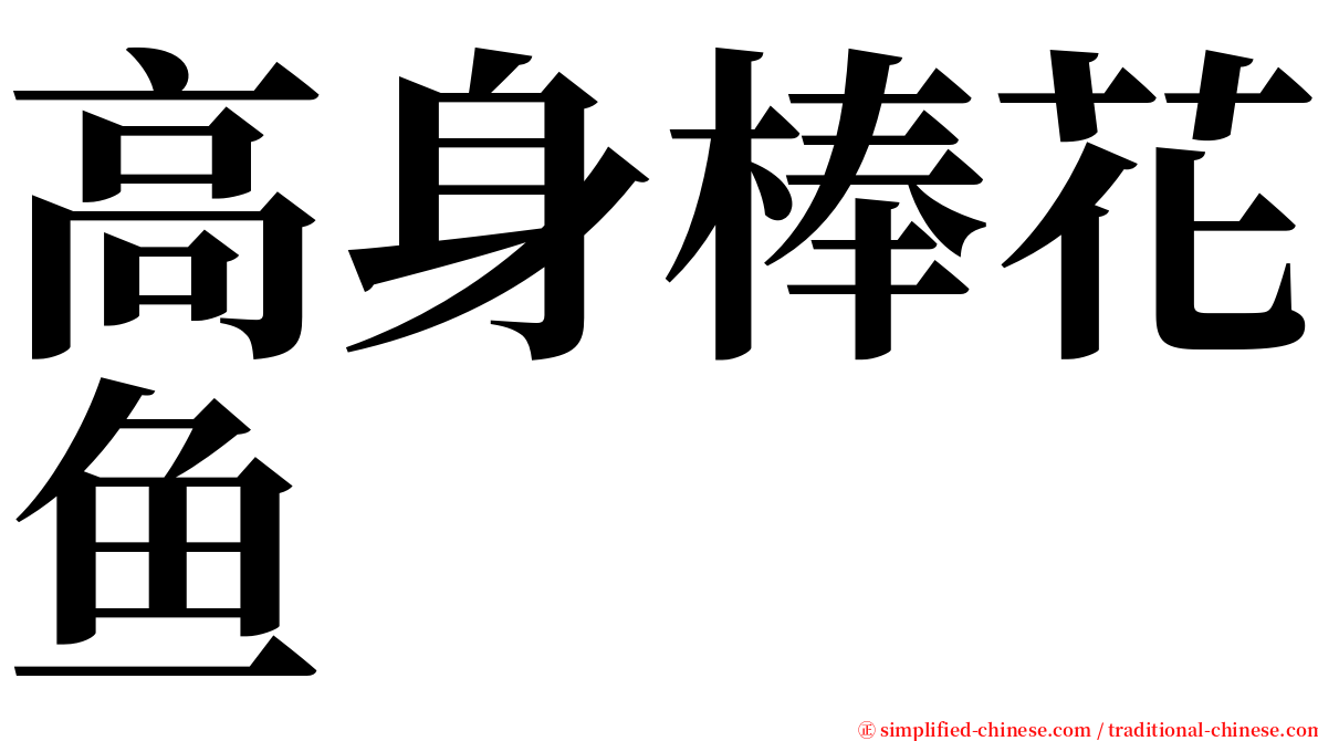 高身棒花鱼 serif font