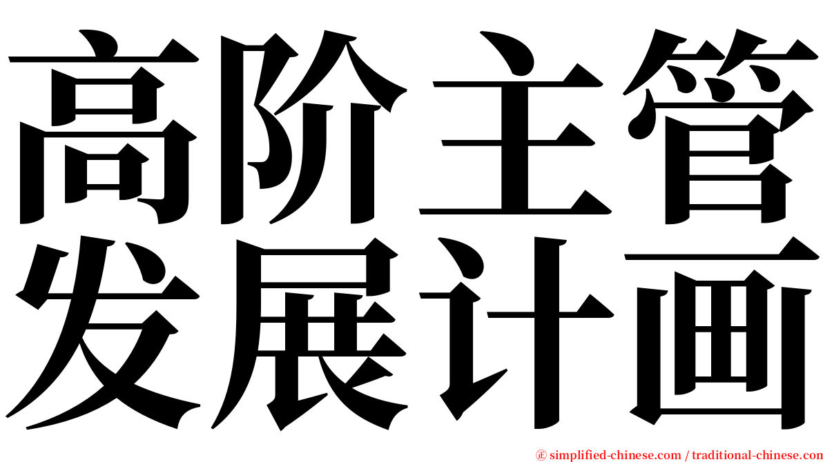 高阶主管发展计画 serif font