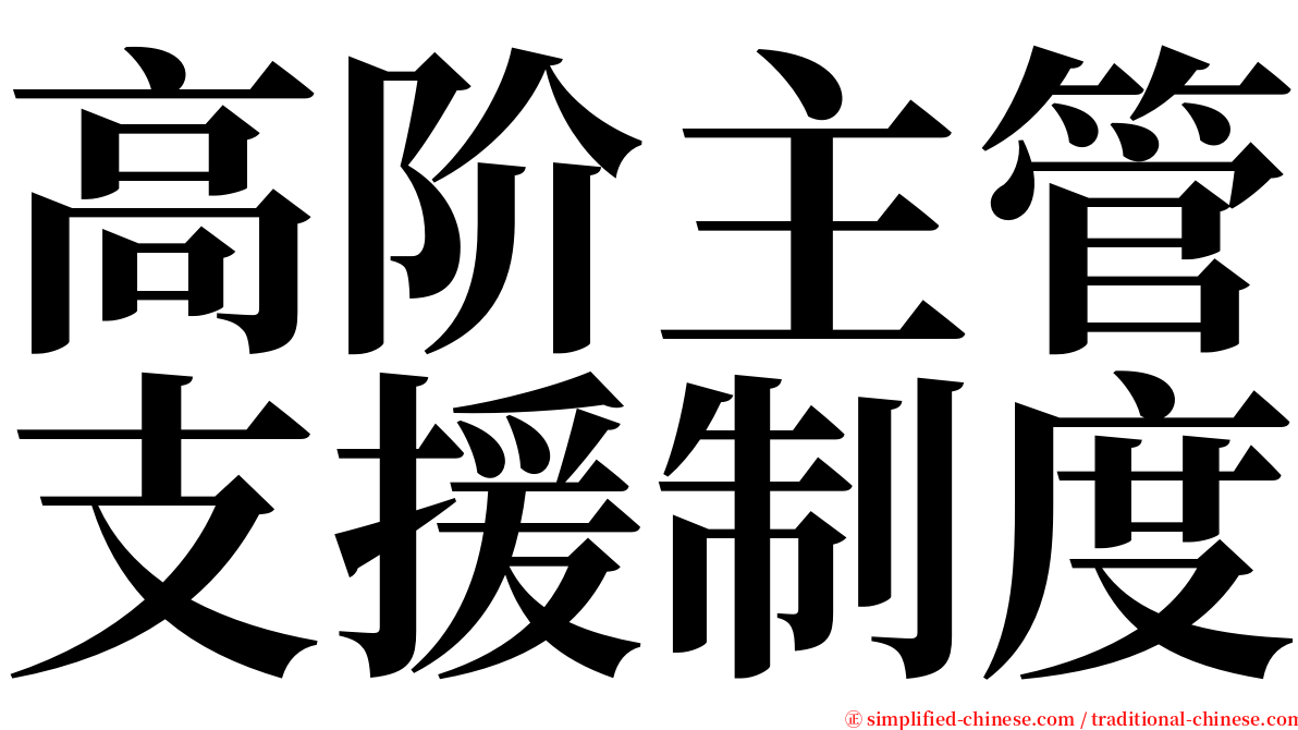 高阶主管支援制度 serif font