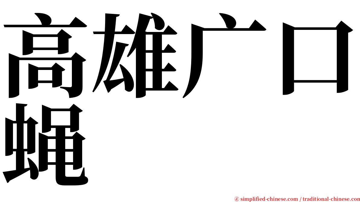 高雄广口蝇 serif font