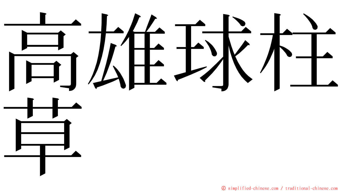 高雄球柱草 ming font