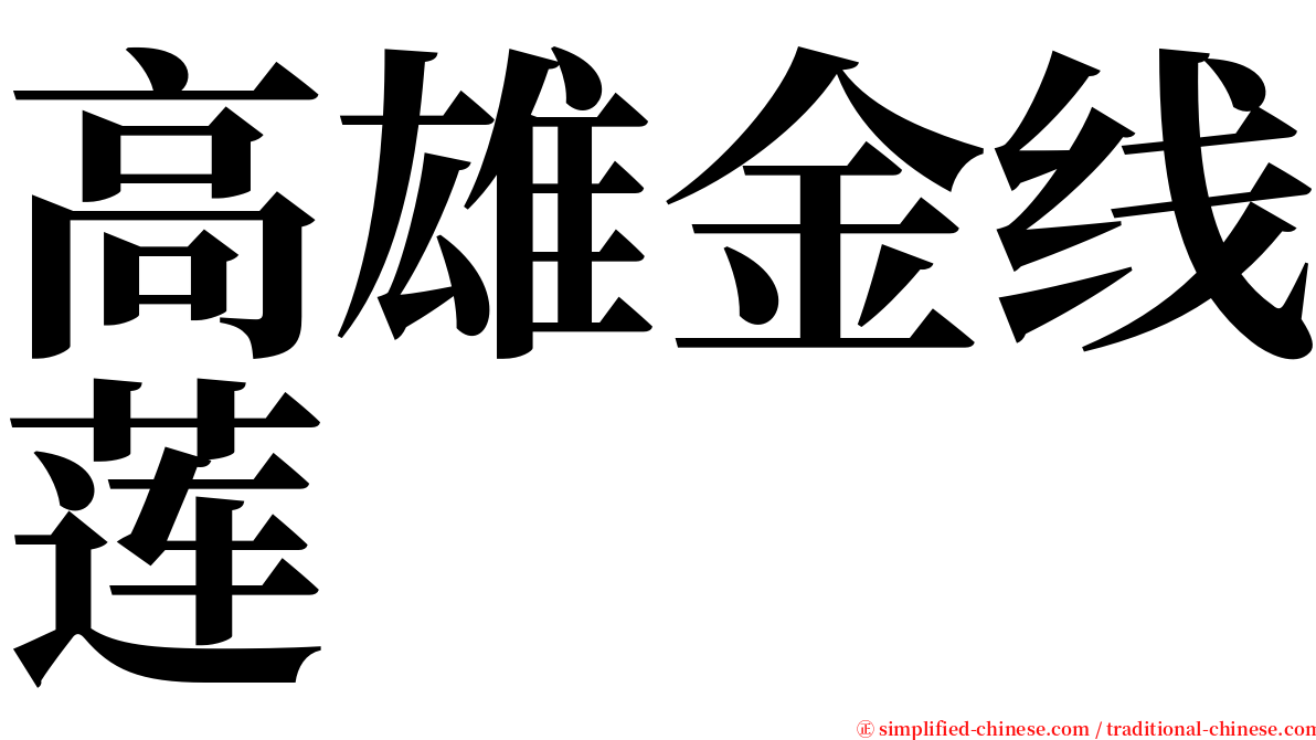 高雄金线莲 serif font