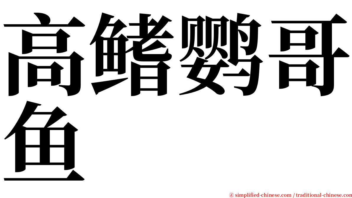 高鳍鹦哥鱼 serif font