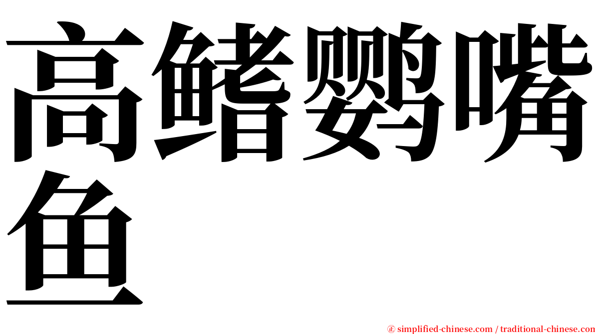 高鳍鹦嘴鱼 serif font