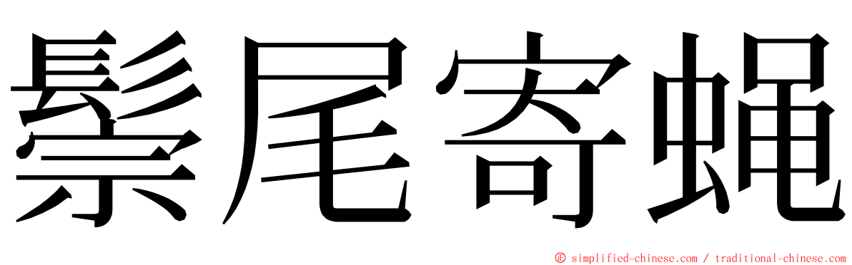 鬃尾寄蝇 ming font