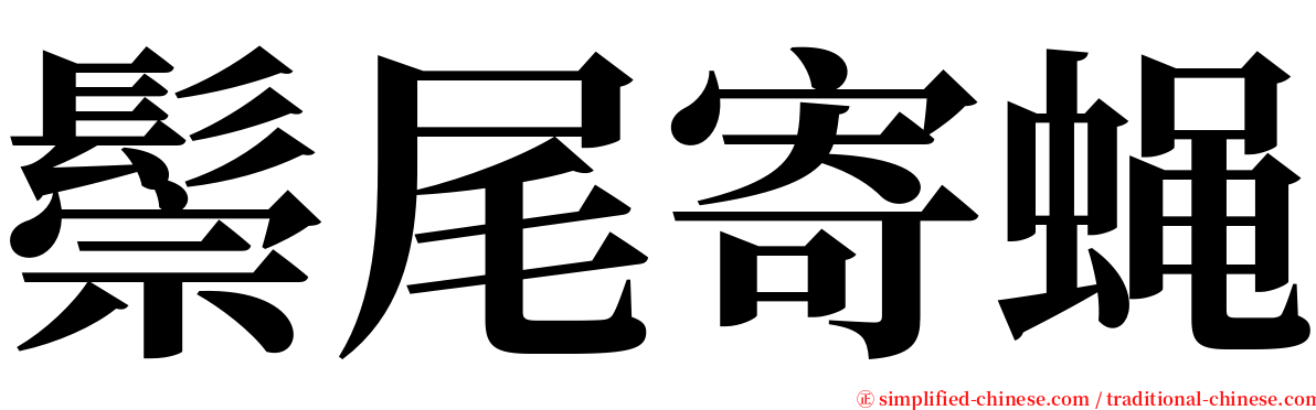 鬃尾寄蝇 serif font