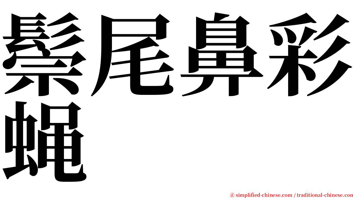 鬃尾鼻彩蝇 serif font