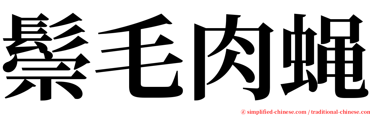 鬃毛肉蝇 serif font