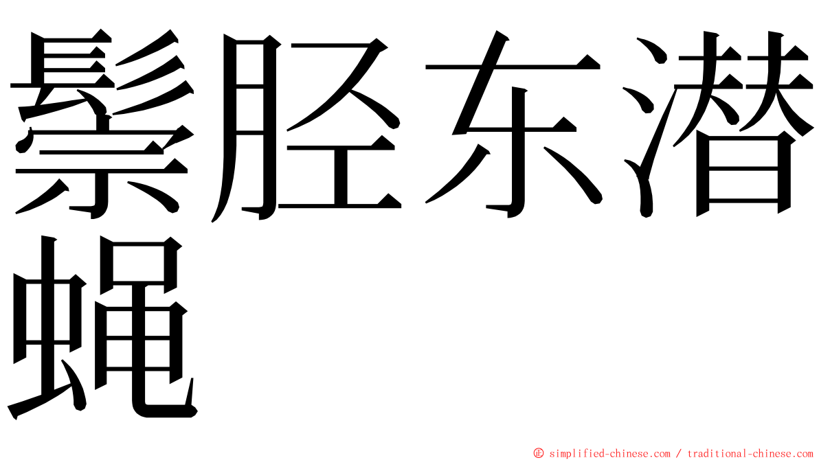 鬃胫东潜蝇 ming font