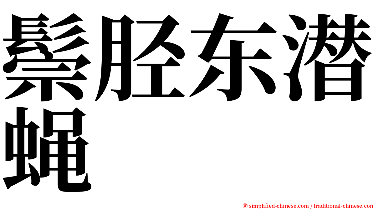 鬃胫东潜蝇 serif font