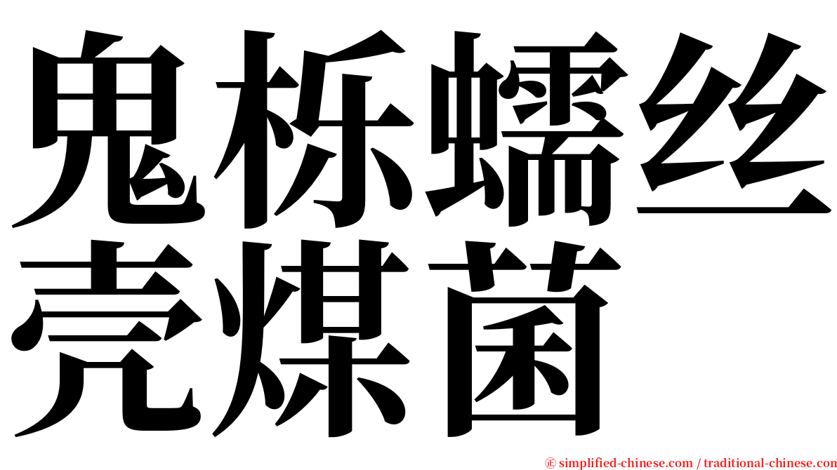 鬼栎蠕丝壳煤菌 serif font