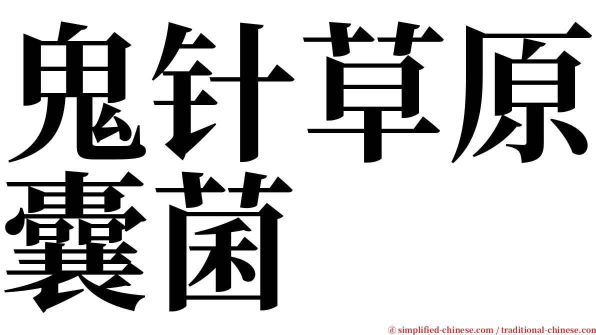 鬼针草原囊菌 serif font