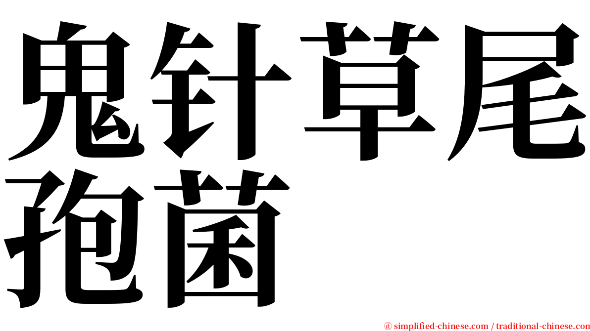 鬼针草尾孢菌 serif font