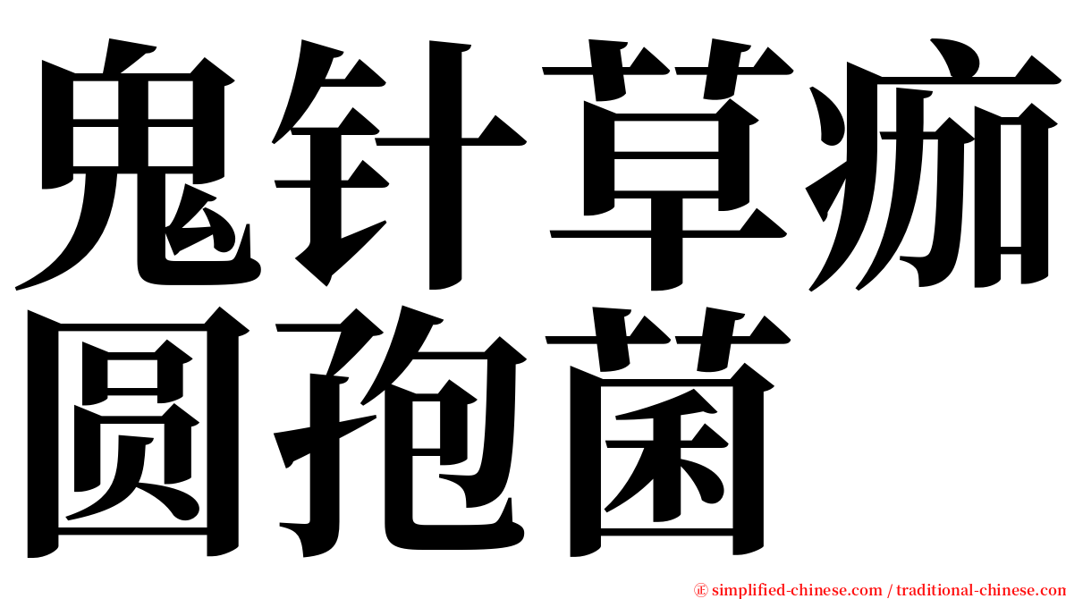 鬼针草痂圆孢菌 serif font