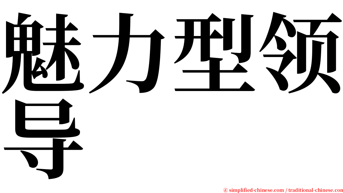 魅力型领导 serif font