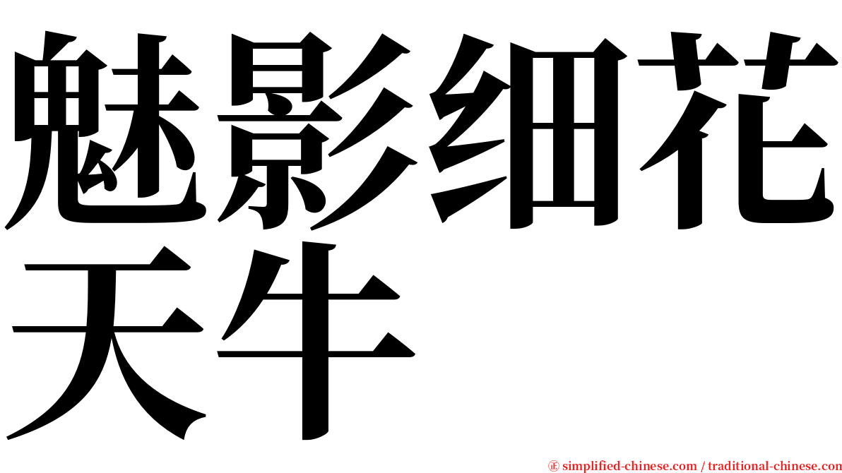 魅影细花天牛 serif font