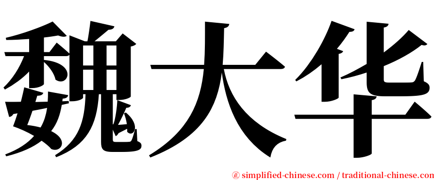魏大华 serif font