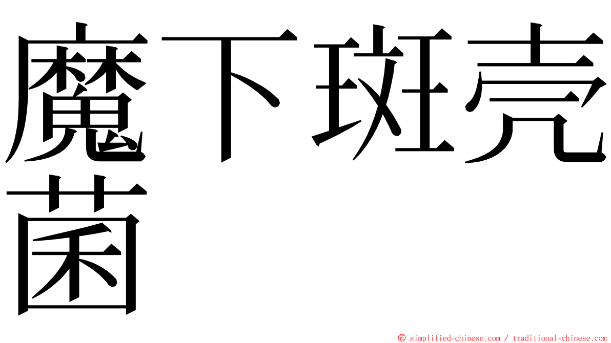 魔下斑壳菌 ming font