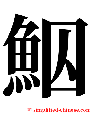 鮂 serif font