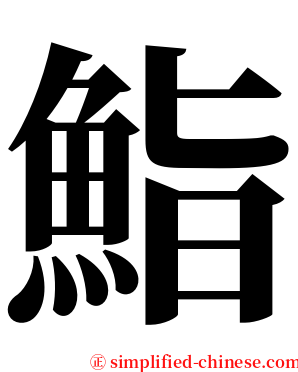 鮨 serif font