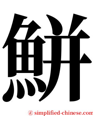 鮩 serif font