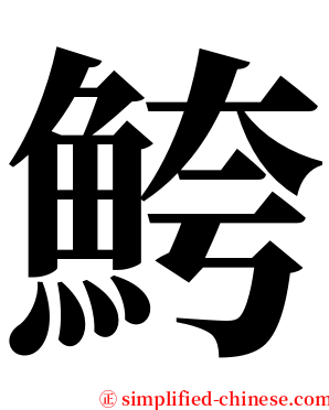 鮬 serif font