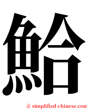 鮯 serif font