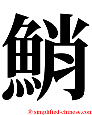 鮹 serif font