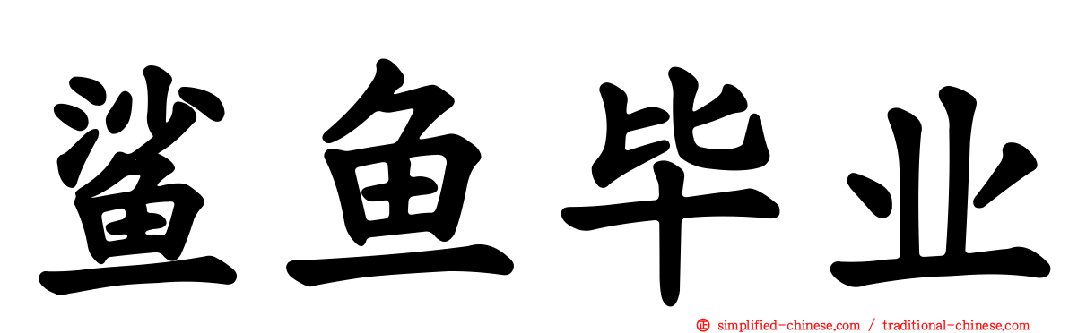 鲨鱼毕业