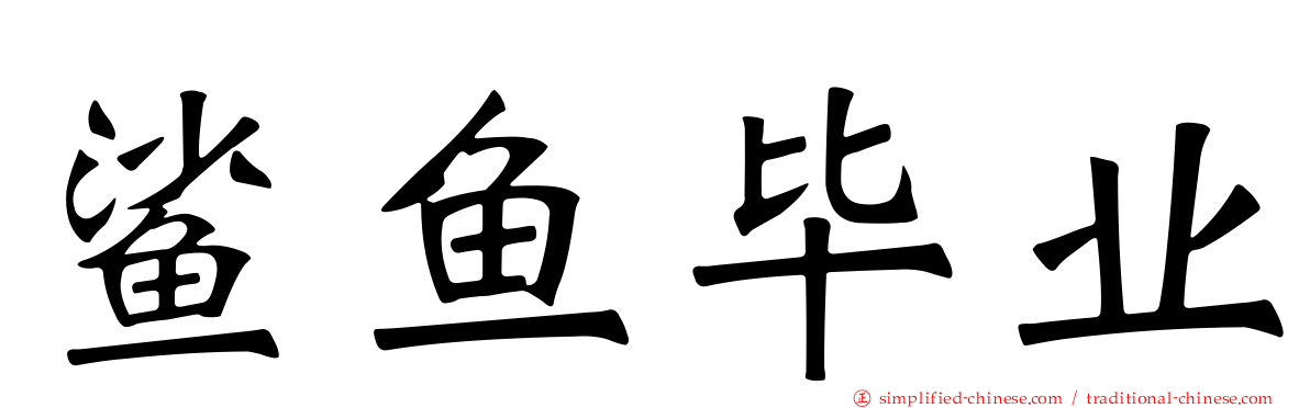 鲨鱼毕业